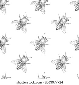 Seamless bee ornament pattern backgrounds. Wallpaper template design. Hand drawn vector illustration.