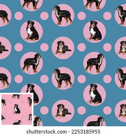 Seamless Bernese Mountain dog pattern, holiday texture. Square format. Pink, blue packaging, textile, fabric, decoration, wrapping paper. Trendy hand-drawn dogs wallpaper. Holiday kids background.