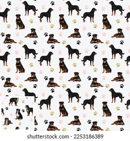 Nahtlose Berner Hundsmuster, Urlaubstextur. Viereckiges Format, T-Shirt, Poster, Verpackung, Textilien, Socken, Textilien, Stoff, Dekoration, Umhüllungspapier. Trendy Berner Sennenhund Hundehintergrund.