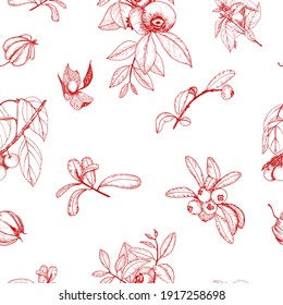 Seamless berry pattern. A sketch of twigs with leaves and berries in red on a white background.