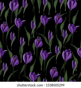 Seamless black background with hand drawn crocus flower. Fabric, print, pattern. Botanical cover