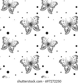 Seamless black butterfly on white background. Isolated vector illustration