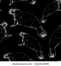Seamless black and white animal pattern with hand drawn silhouettes of Southern elephant seals. (Mirounga leonina).