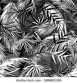 Seamless black and white background with coconut and fan palm leaves. Tropical leaf print for fashion textile and wallpaper