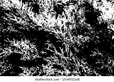 
Seamless black and white background of a tree branch. Vector