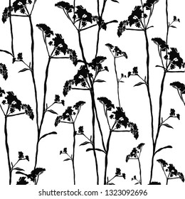 Seamless black and white background of wildflowers and leaves. Spring-summer. Stylish exquisite pattern for dresses, packaging, tableware, Wallpaper