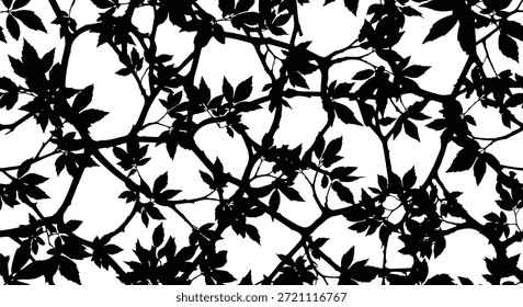 Patrón botánico en blanco y negro sin costuras con intrincadas siluetas de hojas y ramas para un diseño audaz inspirado en la naturaleza.