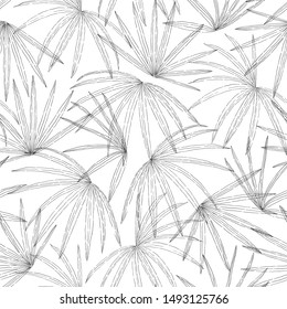 seamless black and white fan palm, foliage vector illustration  background