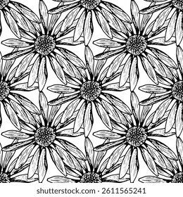 Seamless black and white floral pattern featuring hand drawn daisy-like flowers. Botanical ink artwork with blooming echinacea, chamomile, calendula and rudbeckia, perfect for packaging or textiles