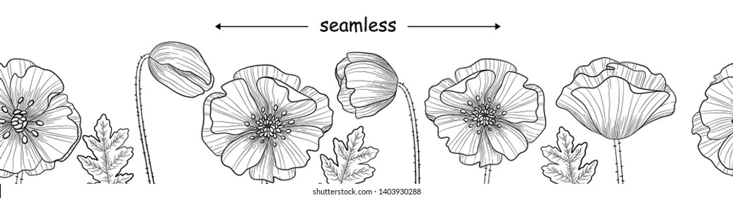 Seamless black and white long banner pattern of poppies or poppy flower for your design, vector illustration