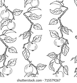Seamless black and white pattern with apple branch. Vector.