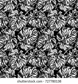 Seamless black and white pattern with exotic leafs of Munster, Tropical summer print. Can be used for wallpaper, pattern fills, web page, surface textures, textile print, wrapping paper.