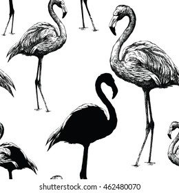 Seamless black and white pattern with flamingo. Hand drawn vector.