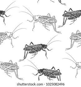 Seamless black and white pattern with grasshoppers. Vector illustration. Contours and silhouettes of insects on a white background.