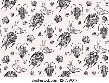 Seamless black and white pattern with trilobites, hand-drawn