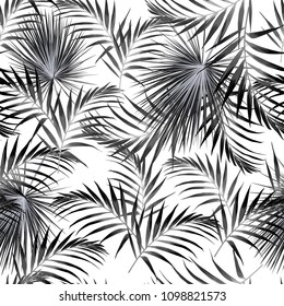 Seamless black white pattern with tropical palm leaves. White background. Vector seamless pattern. Tropical illustration. Jungle foliage.