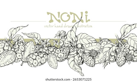 Seamless black and white sketch of noni fruit. Can be used for packaging or label design. Hand drawn vector illustration