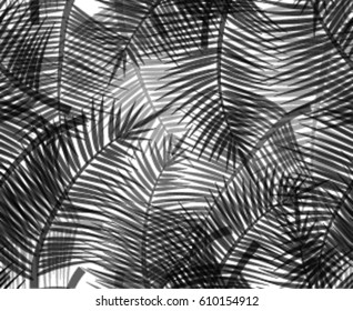 Seamless black and white texture with silhouettes of branches of palm trees on white background. Vector pattern for wrapping paper, wallpaper, fabrics and your design