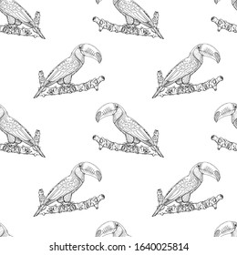 Seamless black and white toucan bird pattern. Isolated birds on a white background. Pattern for different surfaces.