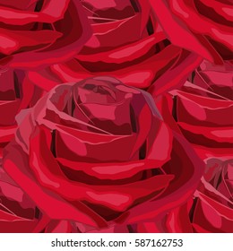 Seamless Blooming Red Flower Rose. Love, romance and Valentine greeting holiday card. Vector illustration.