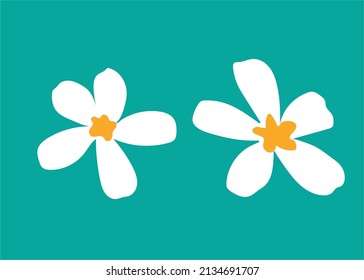  Seamless blooming white jasmine flower,Vector hand drawing illustration.   Abstract jasmine floral pattern.