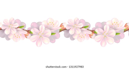 Seamless blossom border. Soft pink flower repeatable pattern. Vector realistic 3d spring illustration. Horizontal design isolated on white background.