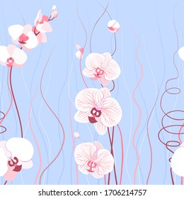 fondo azul transparente con orquídeas rosas para el diseño