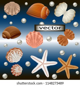 Seamless blue sea background Vector illustration theme with seashells, starfish, pearls.