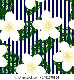 Seamless blue striped vector tropical pattern. Plumeria, frangipani.