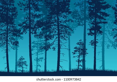Seamless blue vector forest landscape with coniferous trees and grassy land.