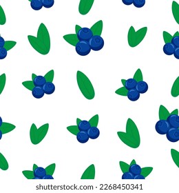 Seamless blueberry pattern on white background