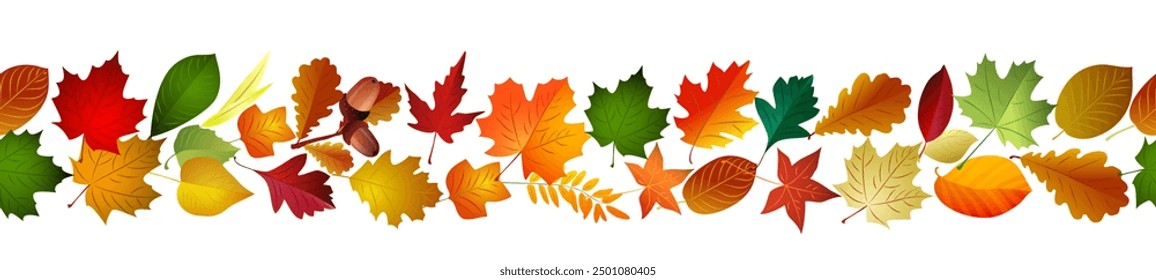 Seamless border of autumn leaves. Vector