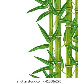 Seamless border with bamboo plants and leaves. Background made without clipping mask. Easy to use for backdrop, textile, wrapping paper.