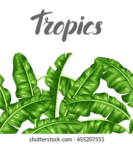 Seamless Border With Banana Leaves. Image Of Decorative Tropical Foliage.