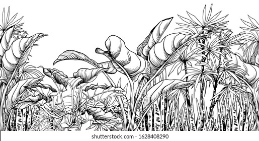 Seamless border with big tropical leaves. Black and white illustration. Hand drawn vector.
