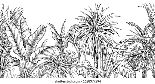 Seamless border with black and white tropical plants. Hand drawn vector illustration.