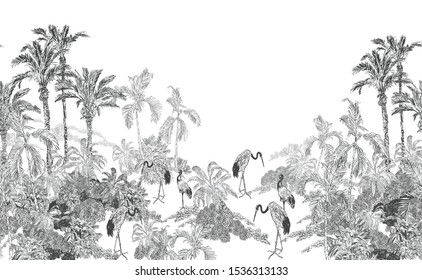 Seamless Border Black And White Vintage Lithograph Drawing Of Jungle Tropical Forest With Palms And Exotic Crane Birds Wildlife British Old Style Design On White Background