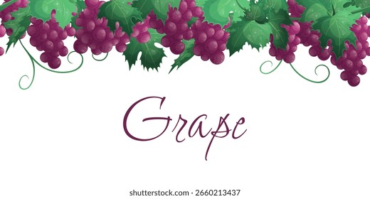 Borda sem costura com ramos e cachos de uvas vermelhas, folhas, bagas. O conceito do festival do vinho, degustação. Ilustração vetorial para banners, folhetos, web