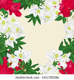 Seamless border branches white and red flowers rhododendrons  mountain shrub nature background vintage vector illustration hand draw