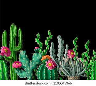 Seamless border with cactus and flowers on dark background. Vector illustration.