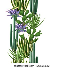 Seamless border with cactuses and succulents set. Plants of desert.