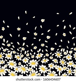 Seamless border with chamomiles on black background.