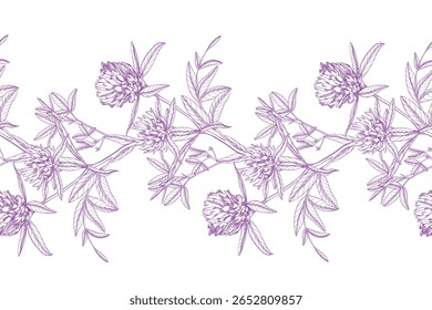 Nahtlose Umrandung von Klee. Für Verpackungsdesign, Karten, Deckel, Drucke, Produktetiketten und Gewebe. Wiese Blume, Vektorgrafik. Handgemachte Tintenkunstwerke.
