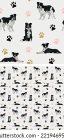 Seamless border collie dog pattern, holiday texture. Square format, t-shirt, poster, packaging, textile, socks, textile, fabric, decoration, wrapping paper. Trendy hand-drawn border collie dogs.
