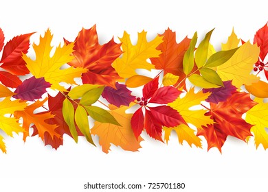 Seamless border with colored autumn leaves isolated on white. Vector illustration.