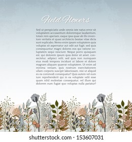 Seamless border composed of field flowers