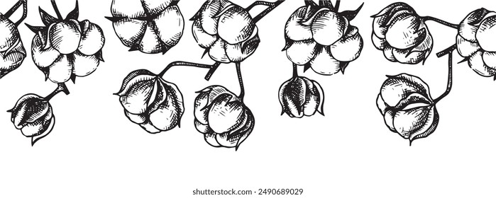 seamless border of cotton branches. cotton bolls, frame in sketch style, vintage