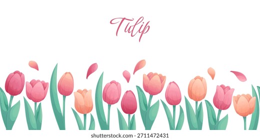Borde sin fisuras con tulipanes delicados sobre un fondo blanco. El concepto de un día de fiesta, primavera, día de la mujer, día de San Valentín. Ilustración vectorial para postales, carteles, Anuncios