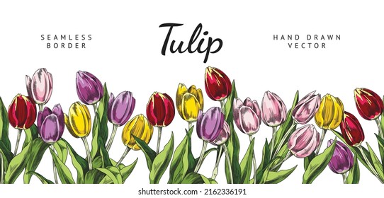 Seamless Border Design With Colorful Spring Tulips In Hand Drawn Style, Sketch Vector Illustration Isolated On White Background. Seamless Repeatable Floral Design.