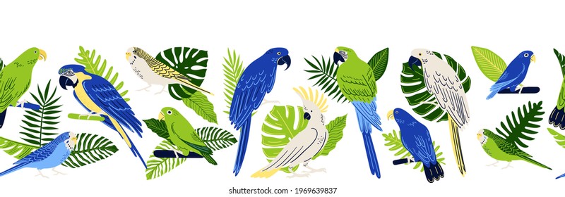 Seamless border frame with tropical parrots. Collection of birds: Macaw, Cockatoo, Budgerigar, etc. Vector exotic leaves, monstera and fern. Vector illustration